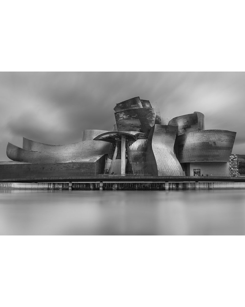 
Titane - photographie Philippe Lagabbe 

Musée Guggenheim, Chef d'oeuvre d' architecture de Frank Gehry