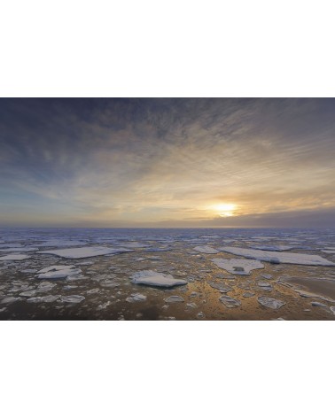 
Rêve Arctic - photographie Eduardo Da Forno 
Coucher de soleil sur l'arctic avec un ours polaire
