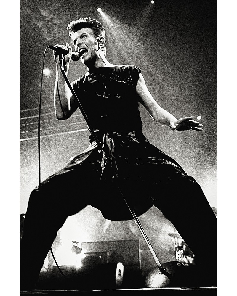 Entre tes jambes- photographie Carole Epinette 
David Bowie - Lille - Février 1996